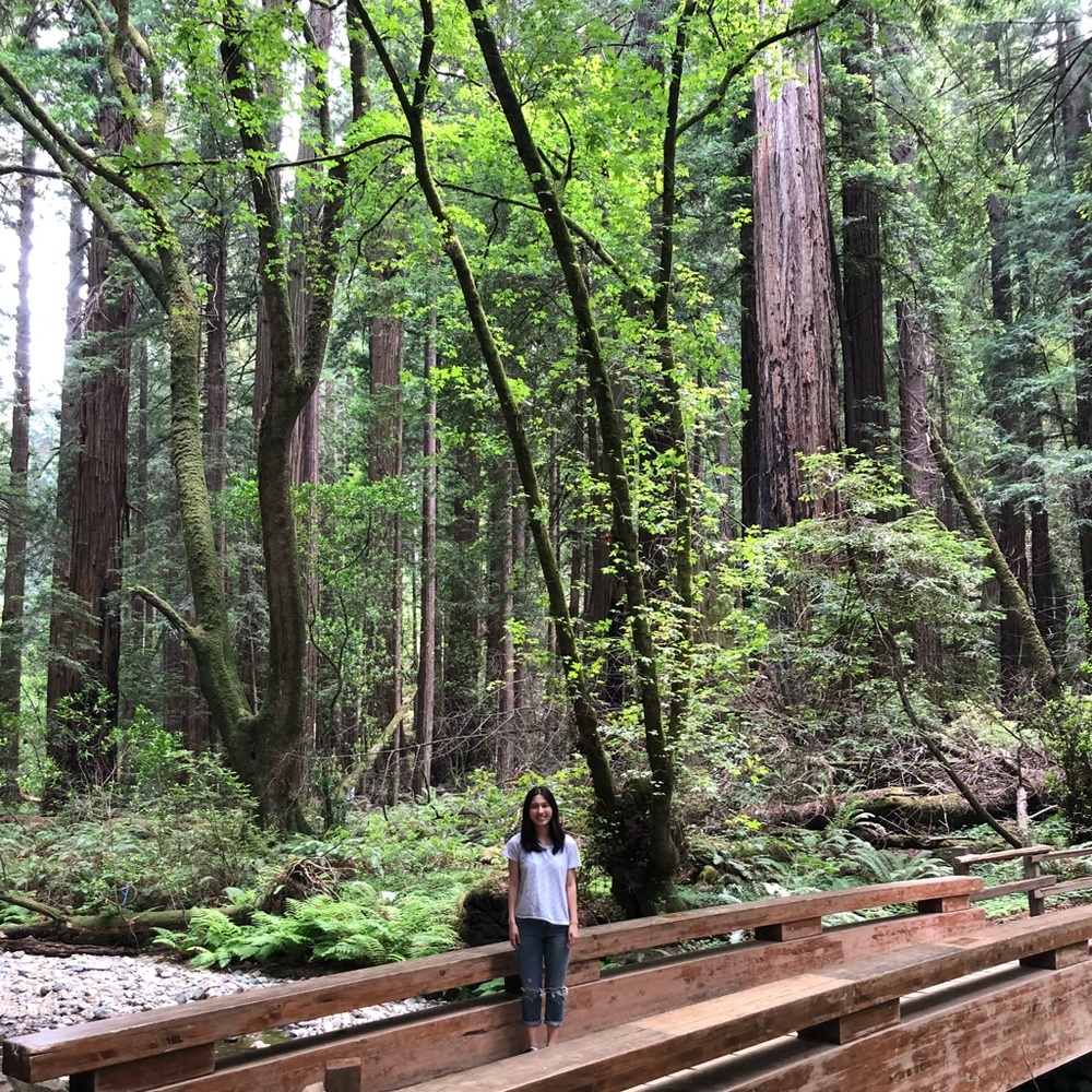 Meet your Posher, Ellin